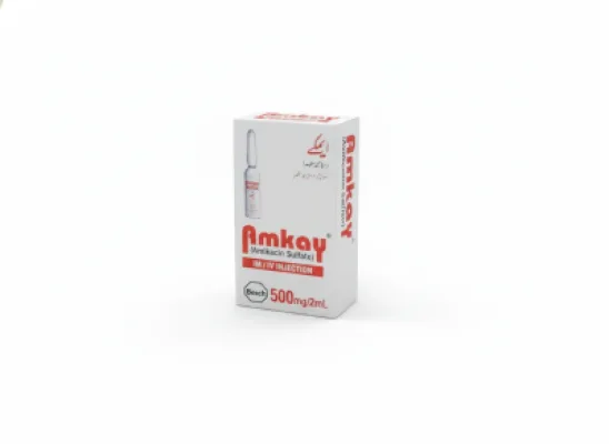 Amkay 500mg