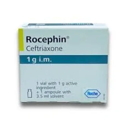 Rocephin 1gm I.V. Vial