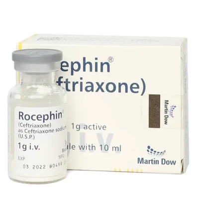 Rocephin 1gm I.M. Vial