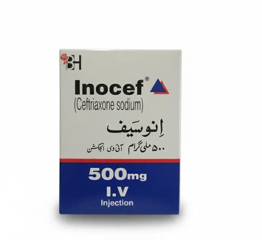 inocef500iv